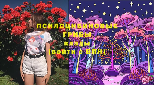 ешки Липки