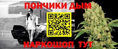 ALPHA PVP Камышлов