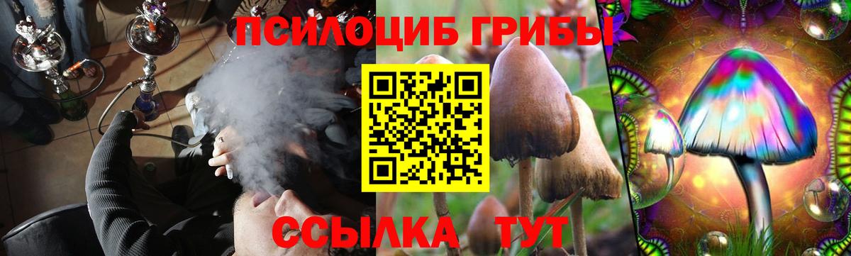 Галлюциногенные грибы прущие грибы Шали